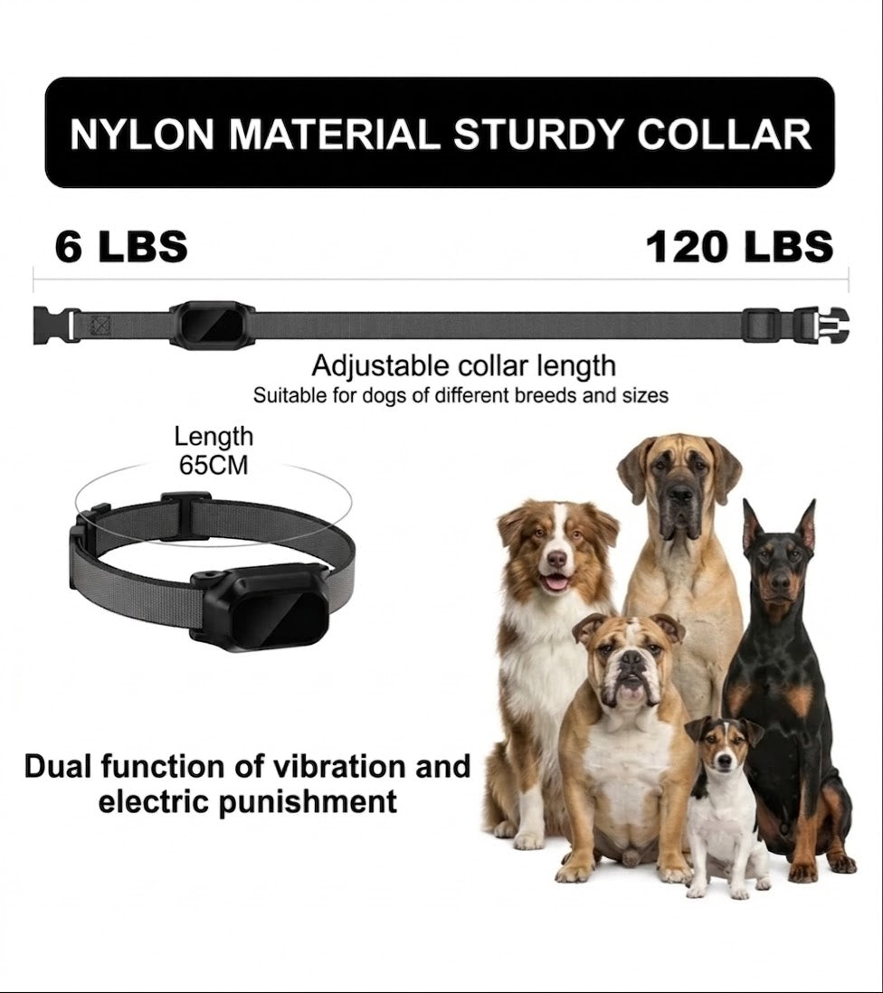 800m Digital Dog Training Collar with Remote