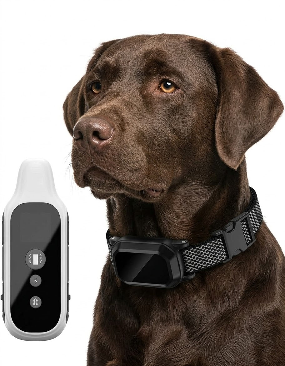 800m Digital Dog Training Collar with Remote