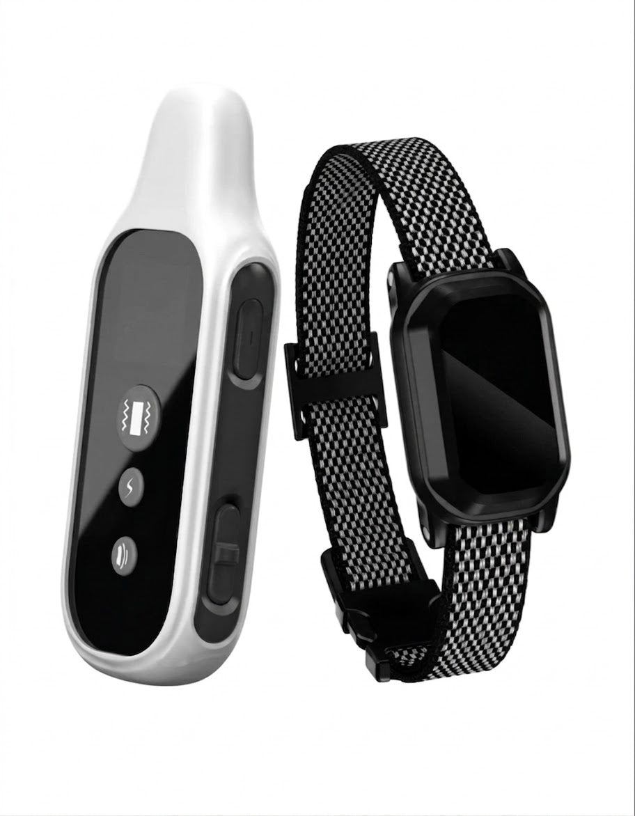 800m Digital Dog Training Collar with Remote