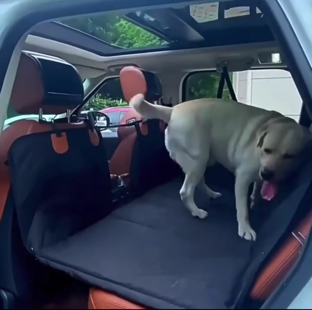 Back seat extender for dogs